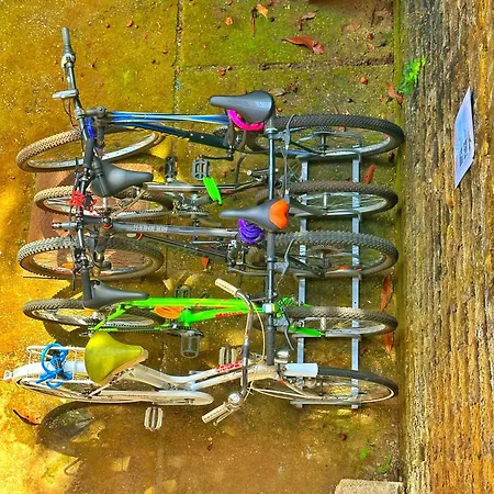 펜션 Villa Brando Exclusive - 9Guests - Bike Rental - Near Sabaudia & Pontine Beaches - Not A Typical Villa, It'S Truly A Unique Experience 라티나