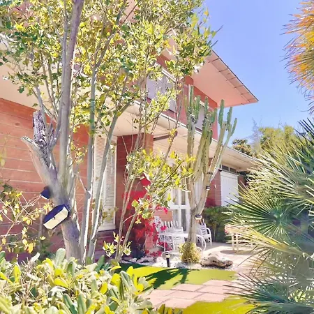 Brando Exclusive - 9p - Bike - Near Sabaudia & Pontine Beaches - Jubilee Ideal - Not A Typical Villa, It's Truly A Different Experience Vakantiehuis Latina