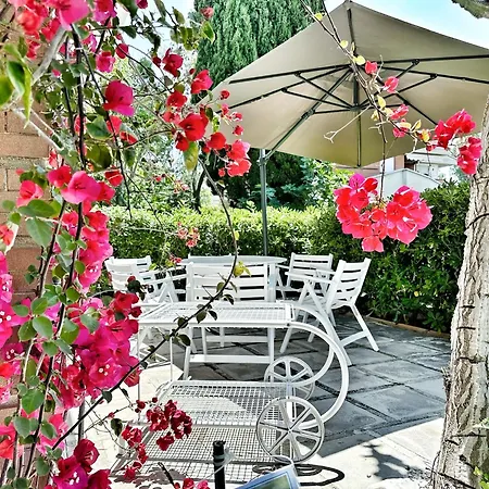 Brando Exclusive - 9p - Bike - Near Sabaudia & Pontine Beaches - Jubilee Ideal - Not A Typical Villa, It's Truly A Different Experience Latina